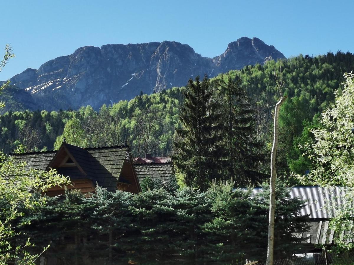 Willa Senator Zakopane Exterior foto